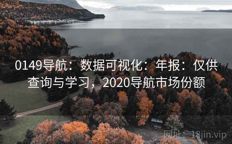 0149导航：数据可视化：年报：仅供查询与学习，2020导航市场份额